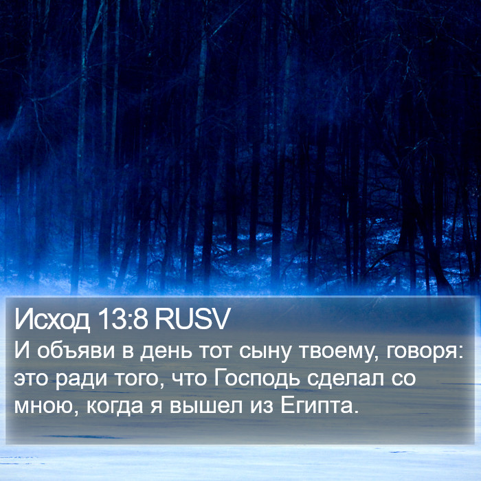 Исход 13:8 RUSV Bible Study