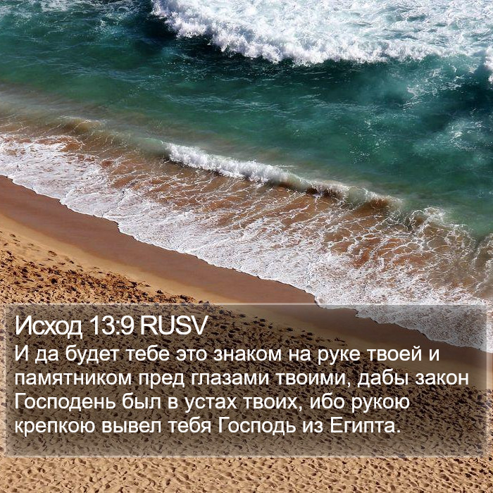 Исход 13:9 RUSV Bible Study