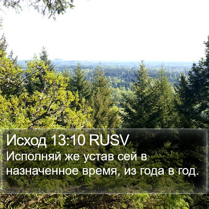 Исход 13:10 RUSV Bible Study