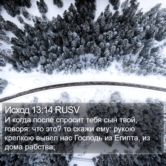 Исход 13:14 RUSV Bible Study