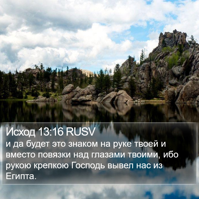 Исход 13:16 RUSV Bible Study