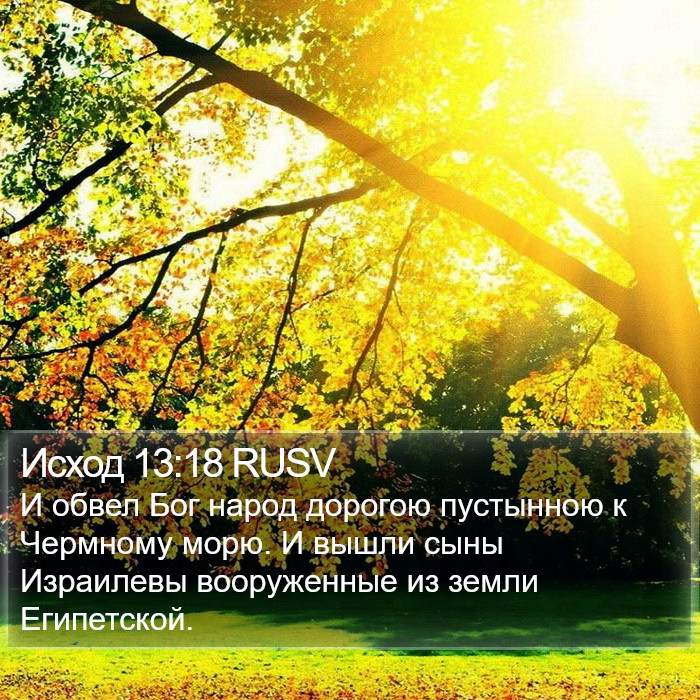 Исход 13:18 RUSV Bible Study