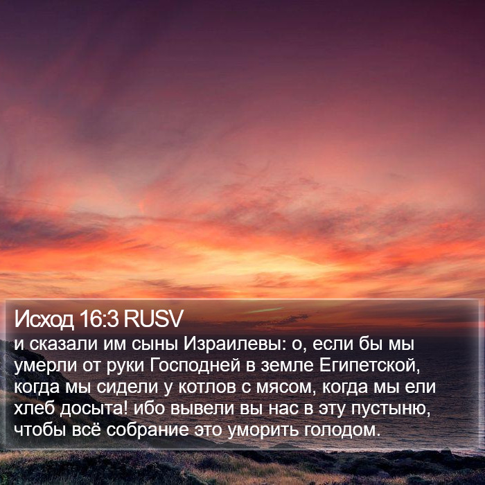 Исход 16:3 RUSV Bible Study