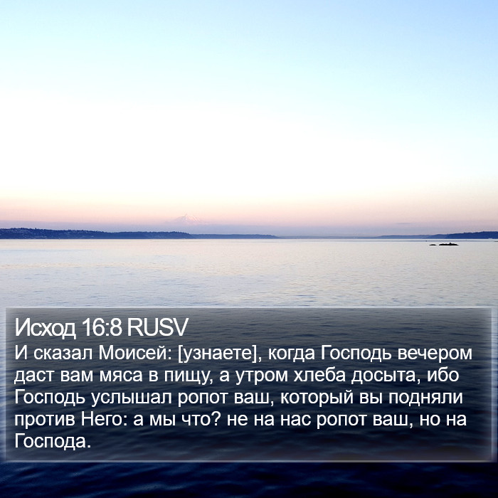 Исход 16:8 RUSV Bible Study