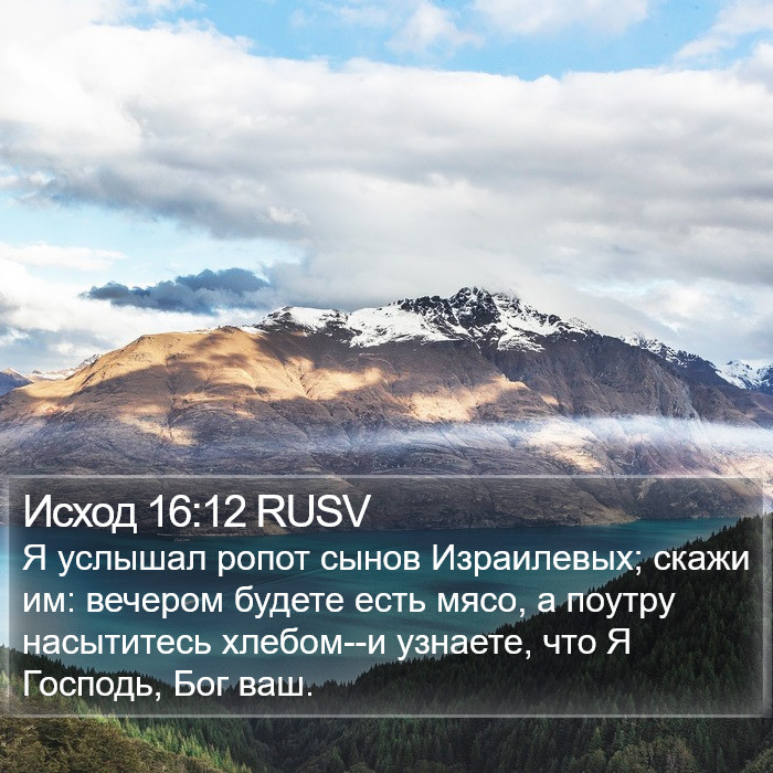Исход 16:12 RUSV Bible Study