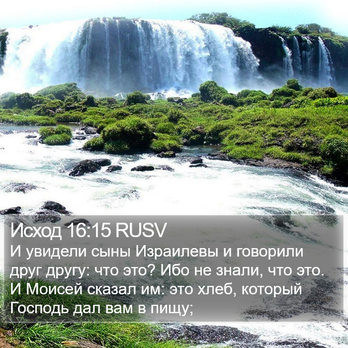 Исход 16:15 RUSV Bible Study