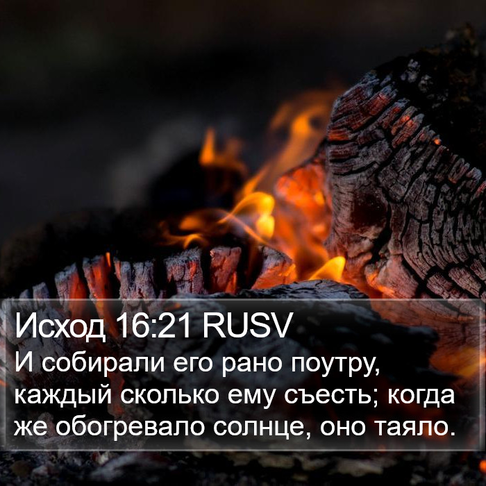 Исход 16:21 RUSV Bible Study