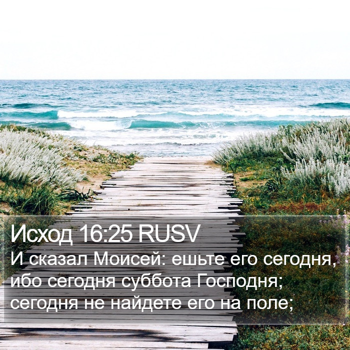 Исход 16:25 RUSV Bible Study