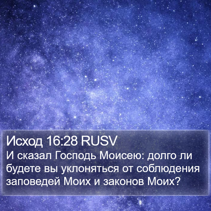 Исход 16:28 RUSV Bible Study