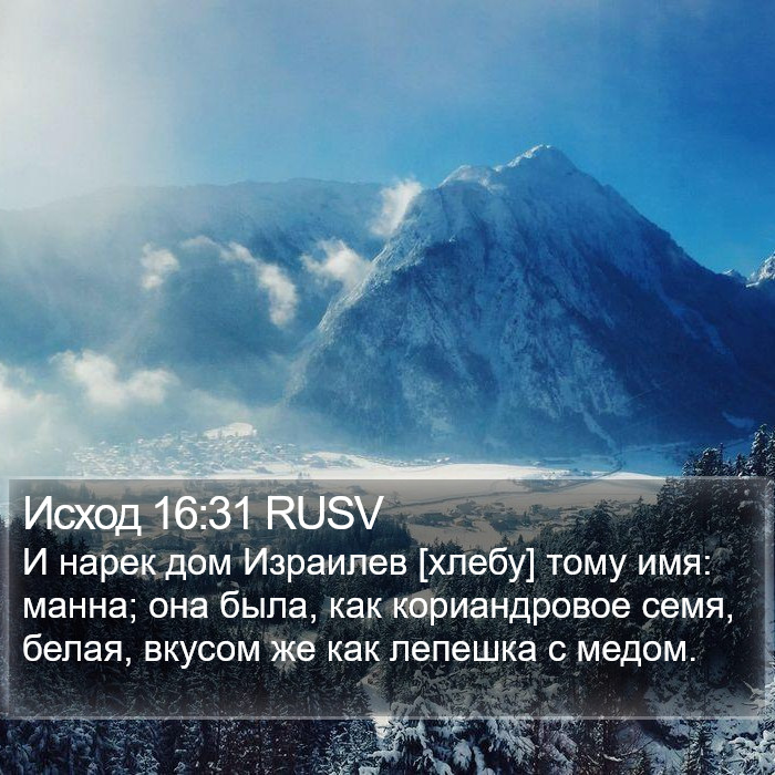 Исход 16:31 RUSV Bible Study