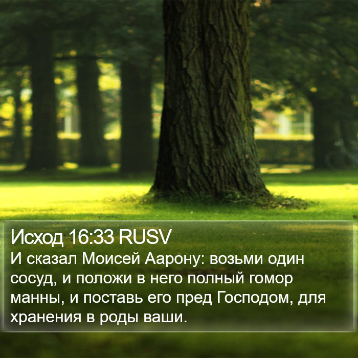 Исход 16:33 RUSV Bible Study