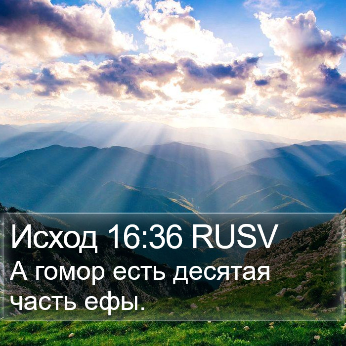 Исход 16:36 RUSV Bible Study