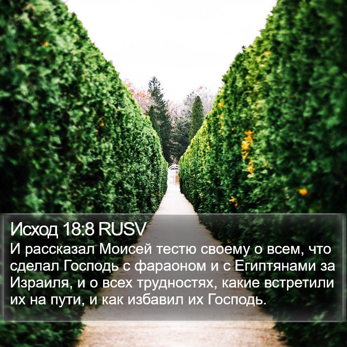 Исход 18:8 RUSV Bible Study