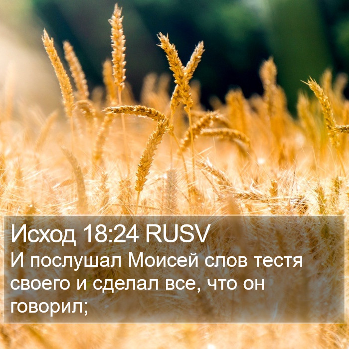 Исход 18:24 RUSV Bible Study