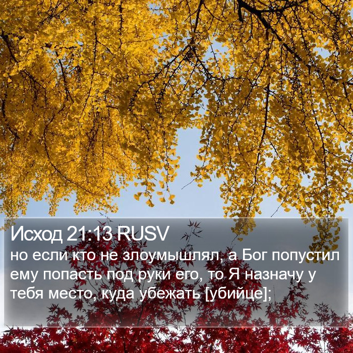 Исход 21:13 RUSV Bible Study