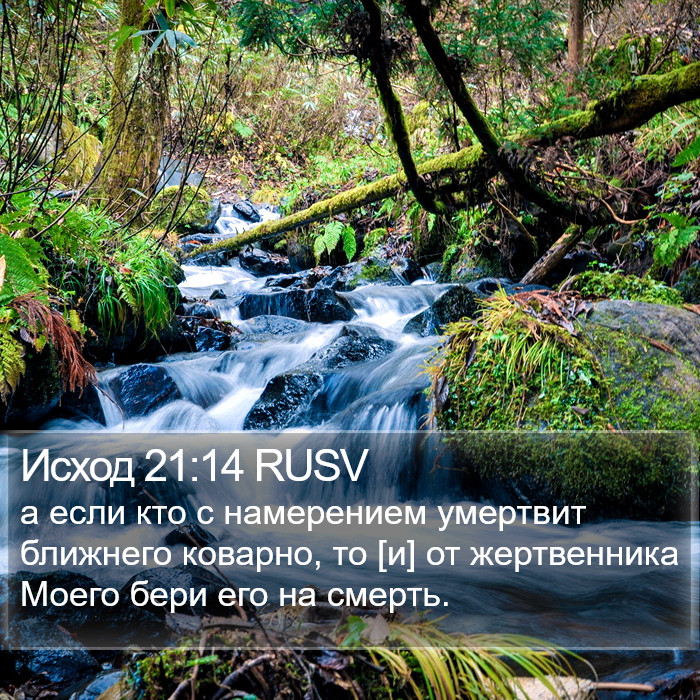 Исход 21:14 RUSV Bible Study
