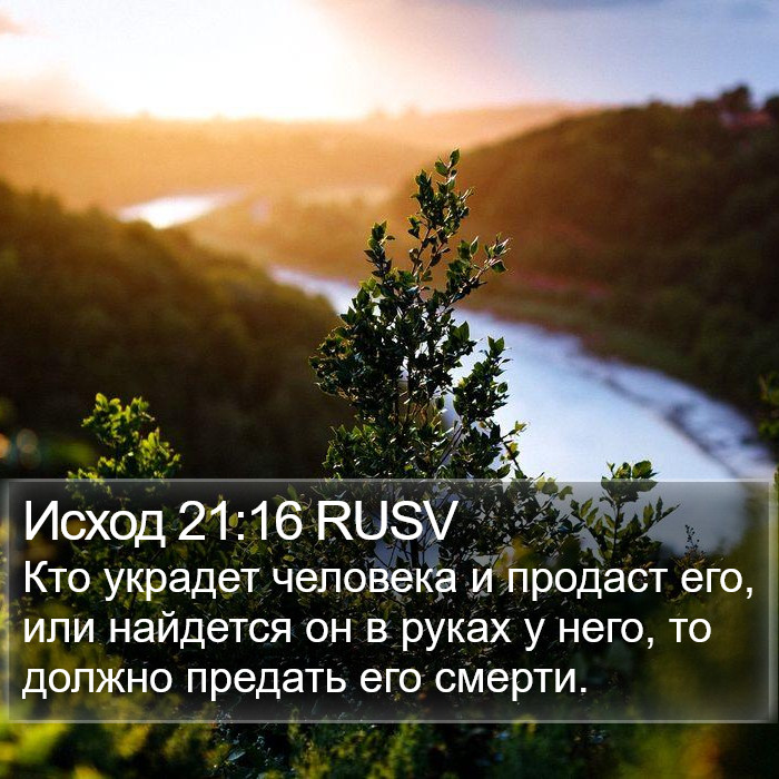 Исход 21:16 RUSV Bible Study