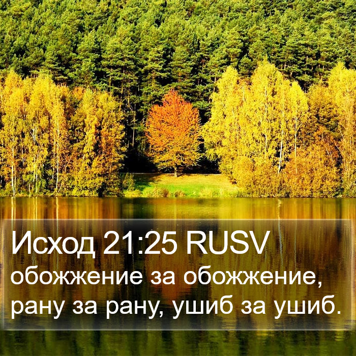 Исход 21:25 RUSV Bible Study