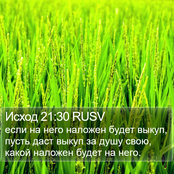 Исход 21:30 RUSV Bible Study