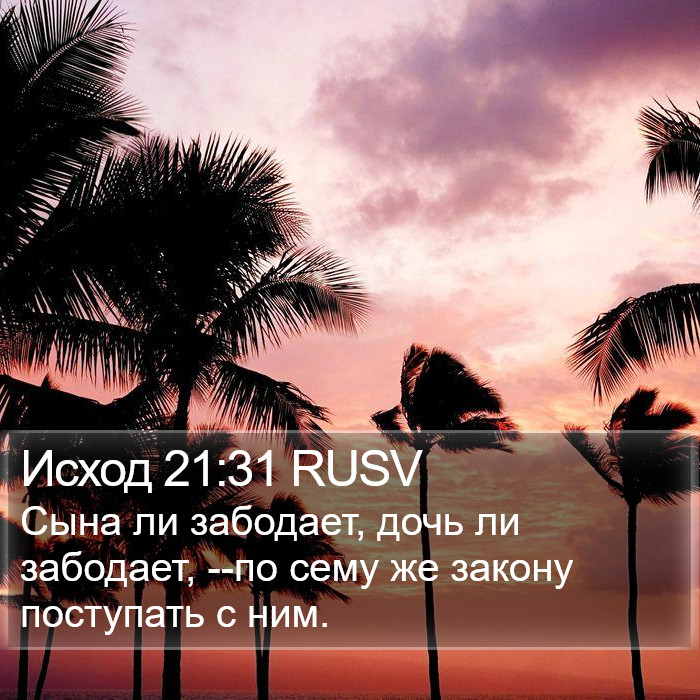 Исход 21:31 RUSV Bible Study