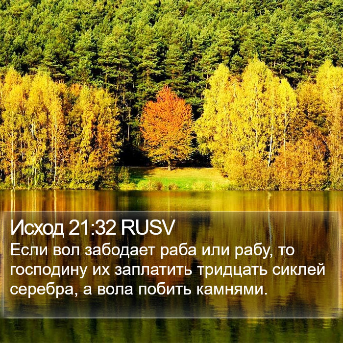 Исход 21:32 RUSV Bible Study