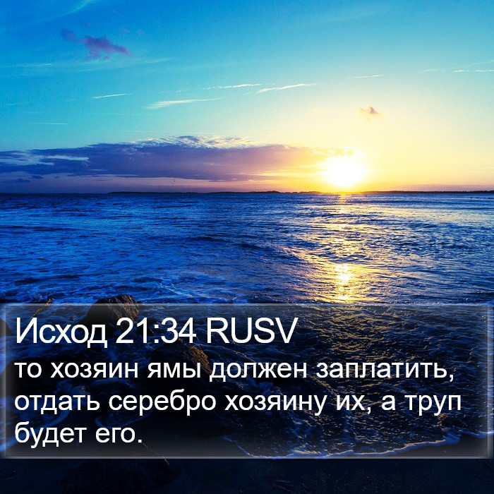 Исход 21:34 RUSV Bible Study