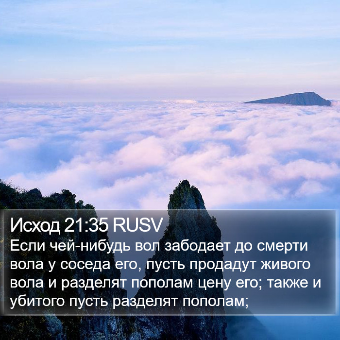 Исход 21:35 RUSV Bible Study