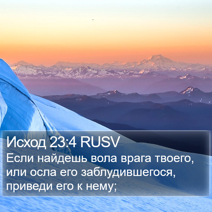 Исход 23:4 RUSV Bible Study