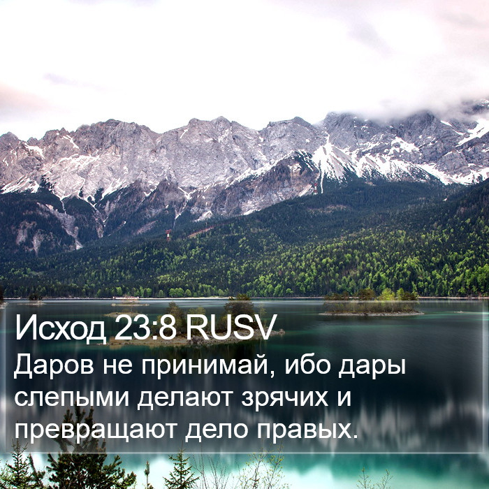 Исход 23:8 RUSV Bible Study