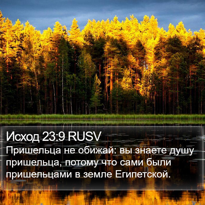 Исход 23:9 RUSV Bible Study