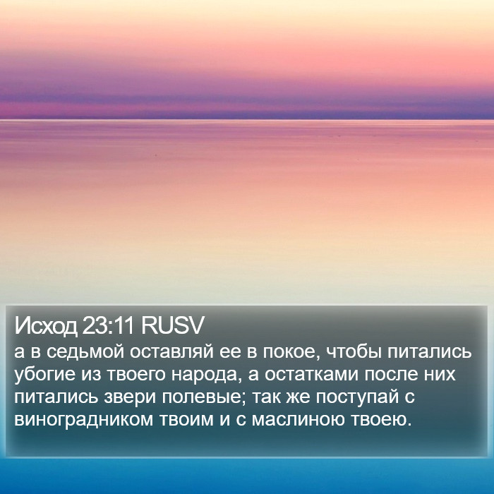 Исход 23:11 RUSV Bible Study