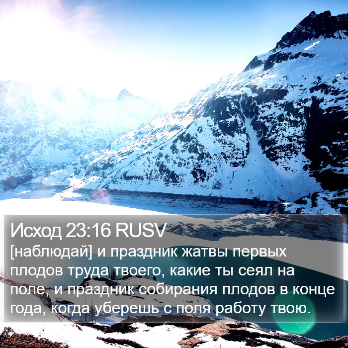 Исход 23:16 RUSV Bible Study