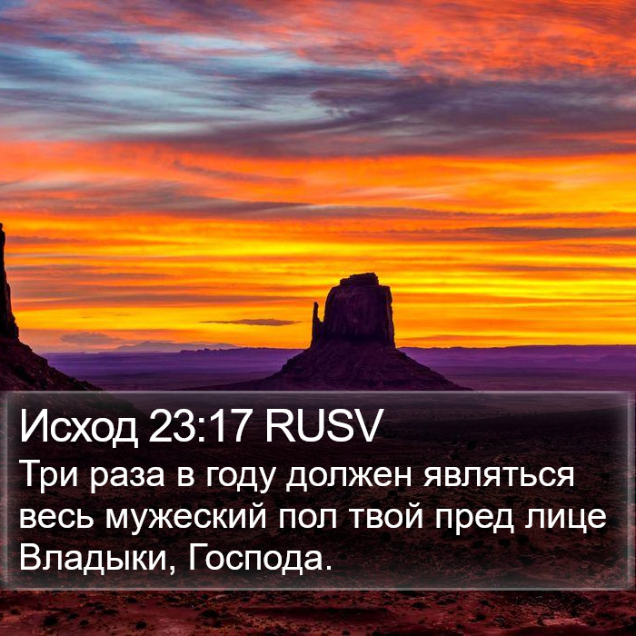 Исход 23:17 RUSV Bible Study
