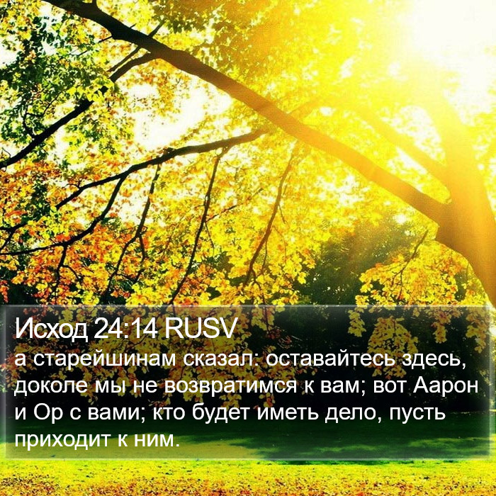 Исход 24:14 RUSV Bible Study