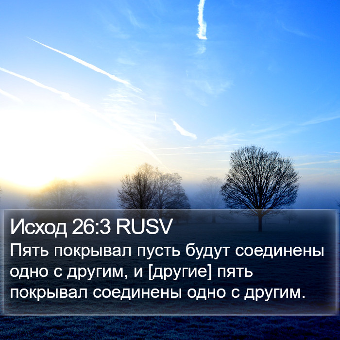 Исход 26:3 RUSV Bible Study