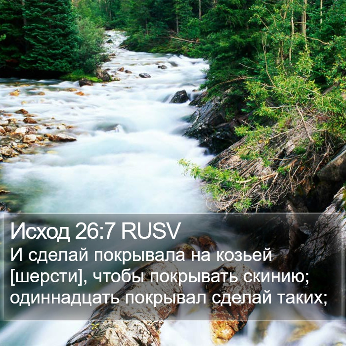 Исход 26:7 RUSV Bible Study