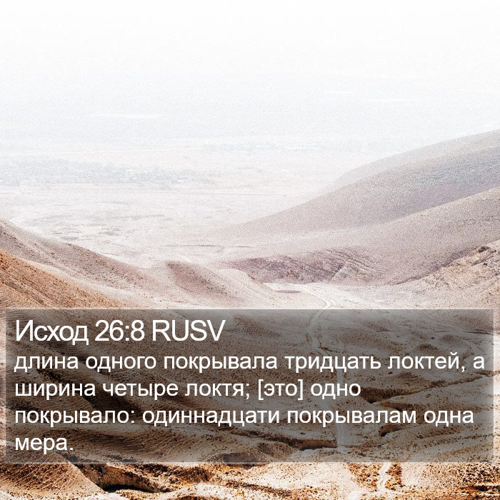 Исход 26:8 RUSV Bible Study