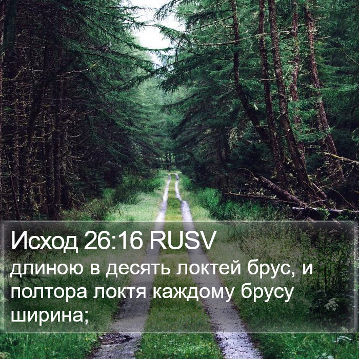 Исход 26:16 RUSV Bible Study