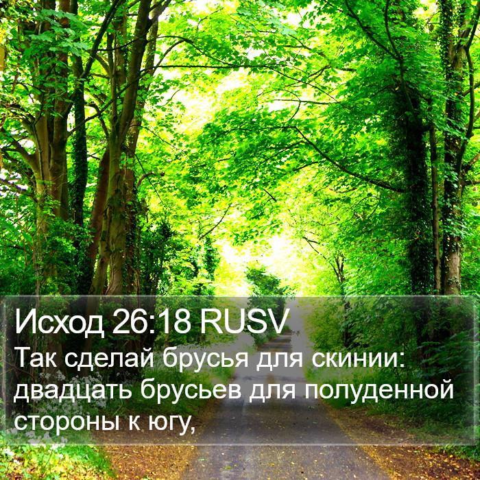 Исход 26:18 RUSV Bible Study