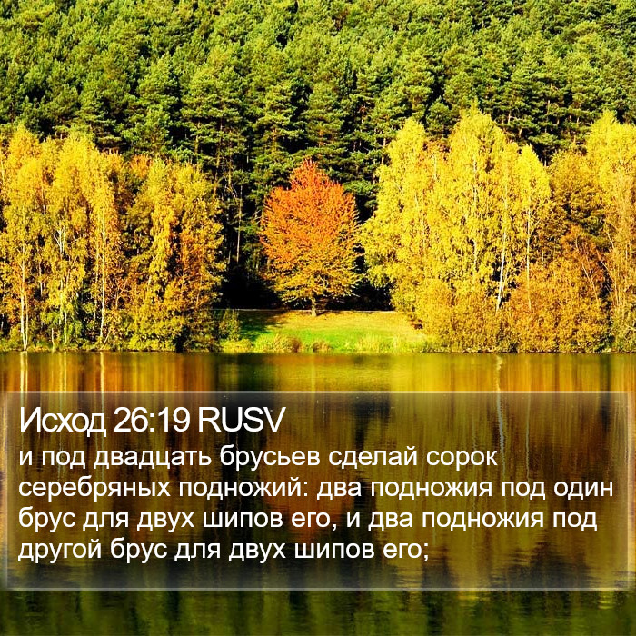 Исход 26:19 RUSV Bible Study