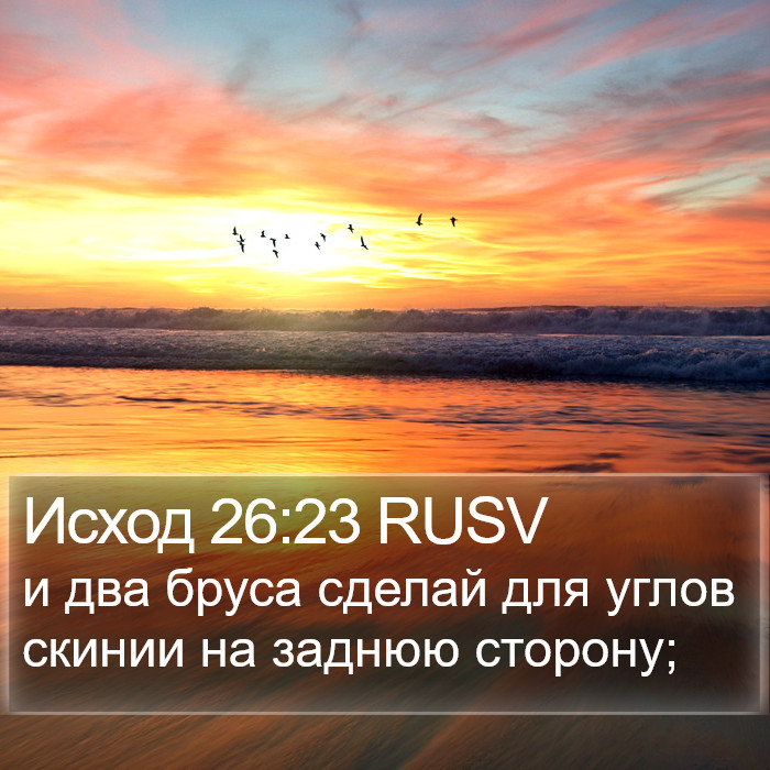 Исход 26:23 RUSV Bible Study