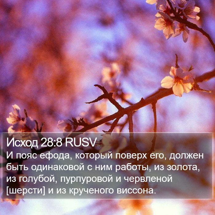 Исход 28:8 RUSV Bible Study