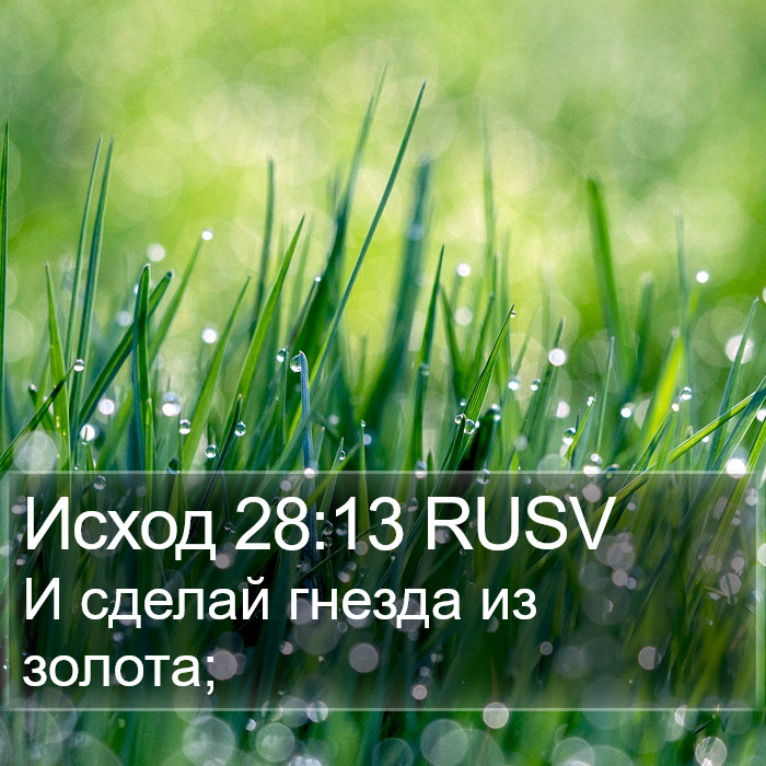 Исход 28:13 RUSV Bible Study