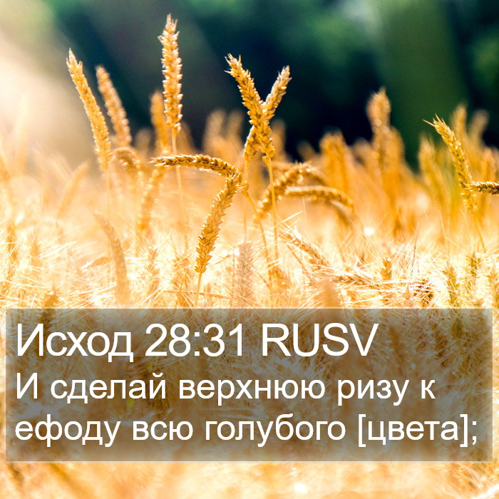 Исход 28:31 RUSV Bible Study