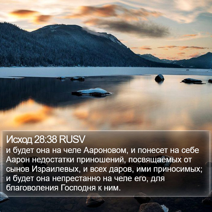 Исход 28:38 RUSV Bible Study