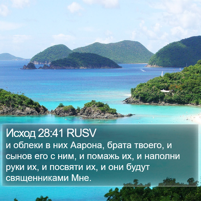 Исход 28:41 RUSV Bible Study