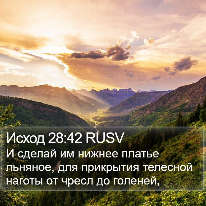 Исход 28:42 RUSV Bible Study