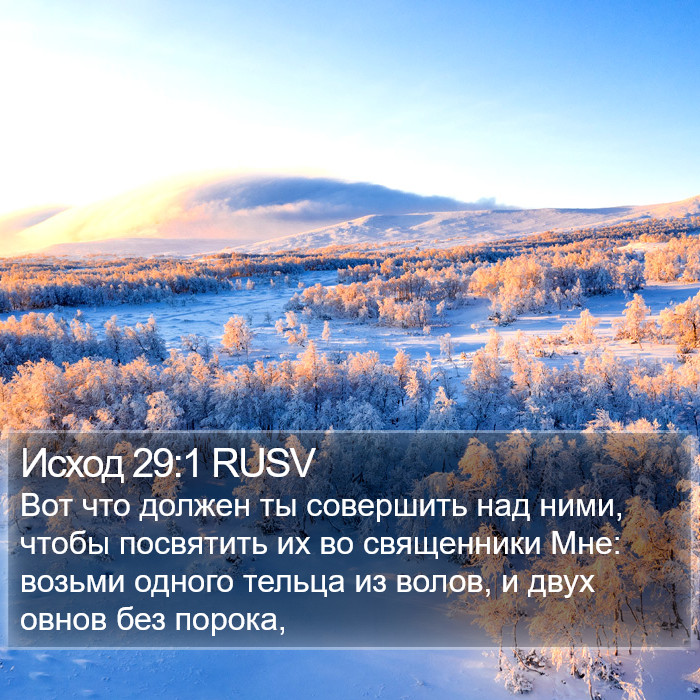 Исход 29:1 RUSV Bible Study