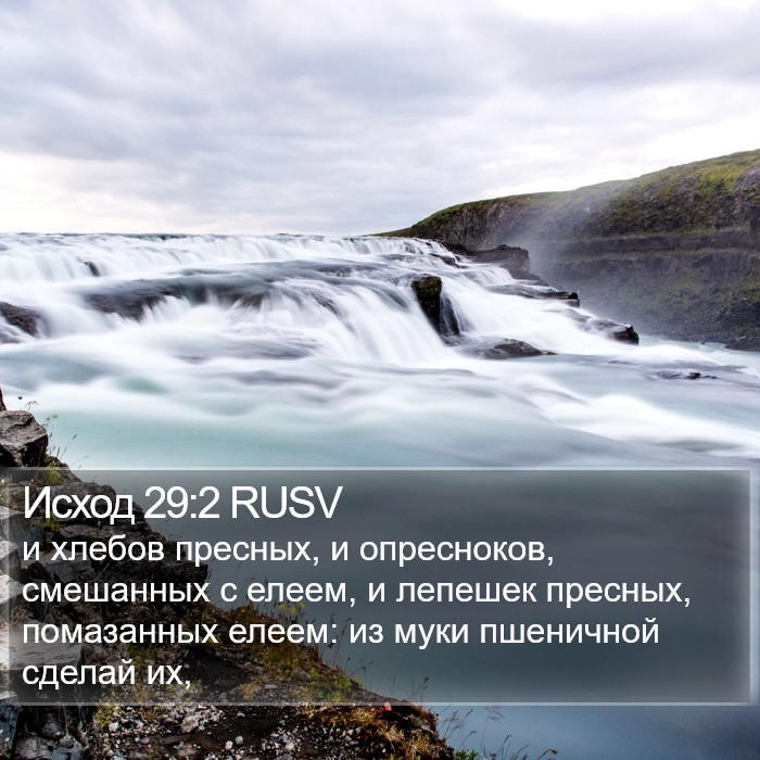 Исход 29:2 RUSV Bible Study