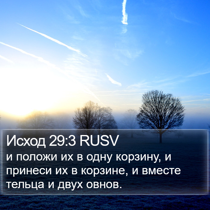 Исход 29:3 RUSV Bible Study